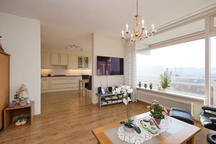 Foto 8 van Peter van Anrooylaan 268