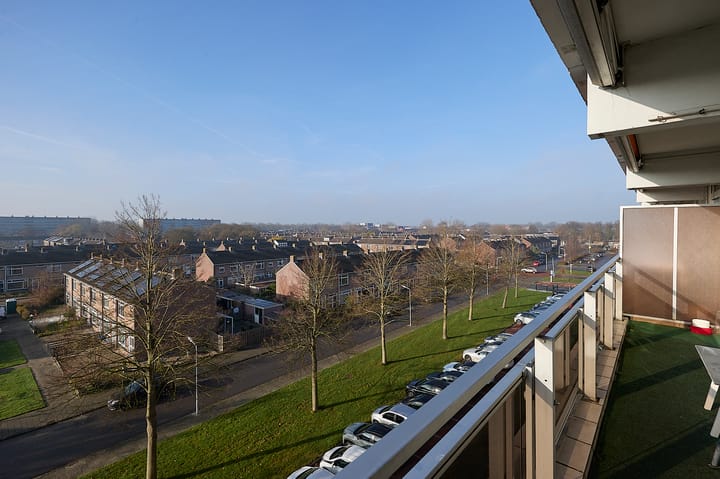 Foto 13 van Peter van Anrooylaan 268