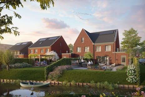 Droomweide | Fase 3A thumbnail