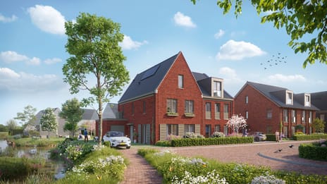 Droomweide | Fase 3A main image