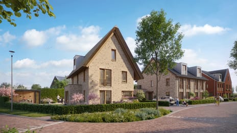 Droomweide | Fase 3A main image