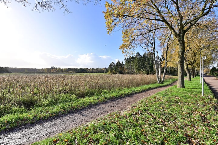 Foto 23 van Frans Halslaan 9