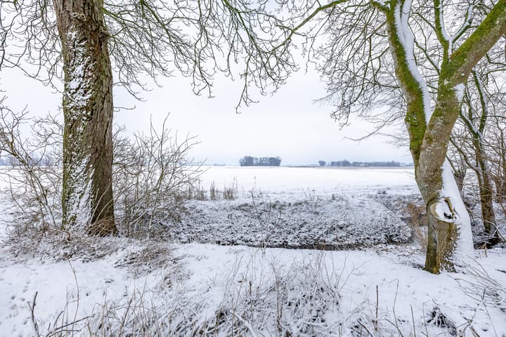 Foto 49 van Borgweg 14