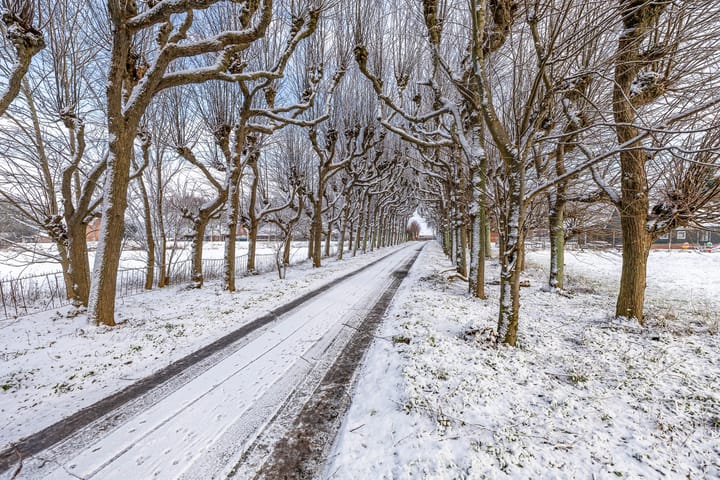 Foto 52 van Borgweg 14