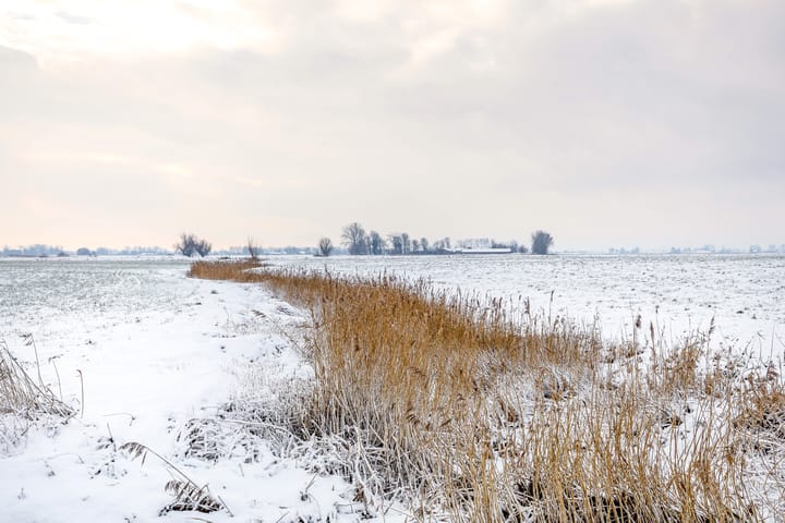 Foto 54 van Borgweg 14