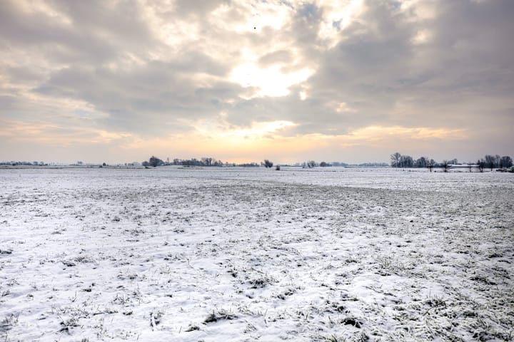 Foto 55 van Borgweg 14