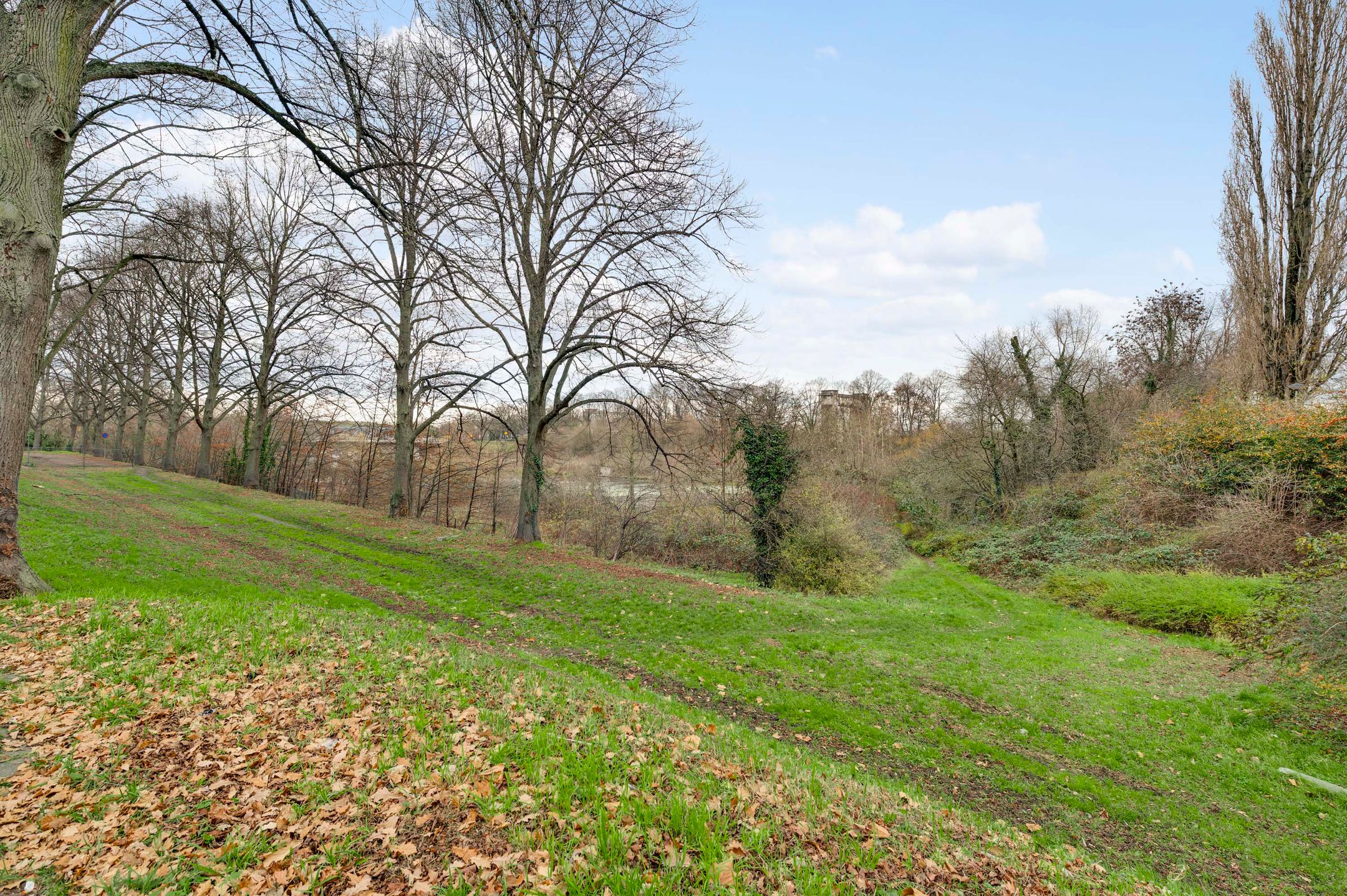 Foto 33 van Drijversstraat 29