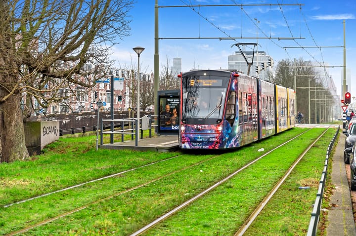 Foto 40 van Sumatrastraat 191