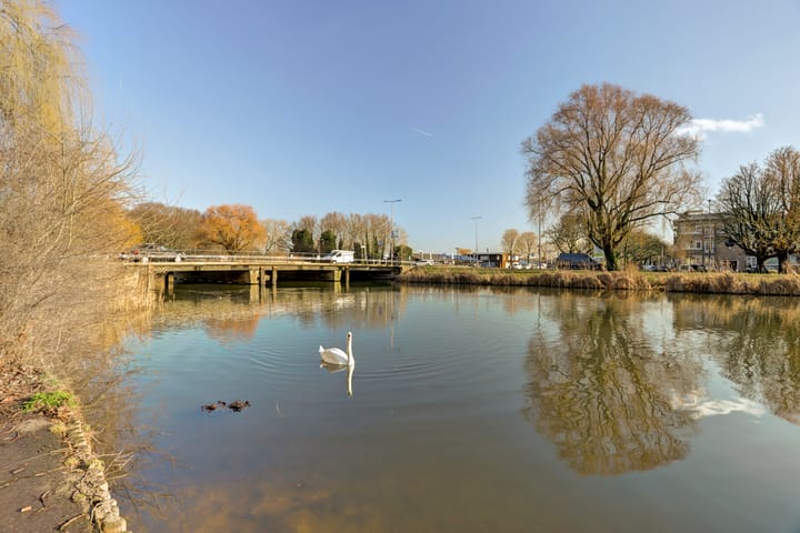 Foto 28 van Schapendreef 193