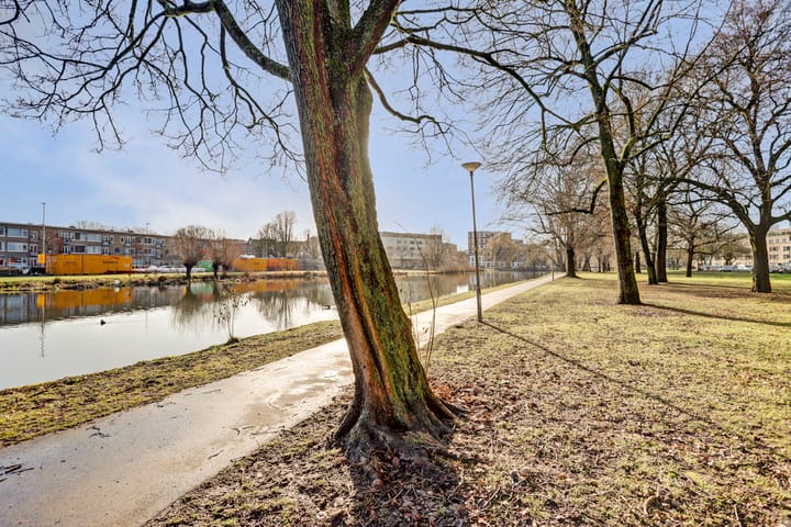 Foto 30 van Schapendreef 193