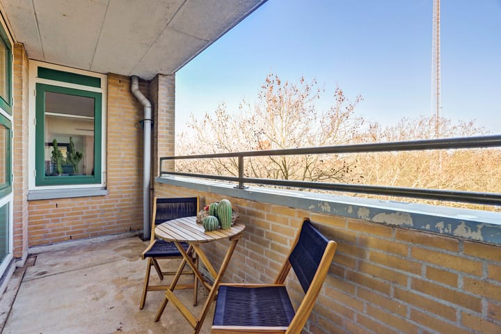 Foto 20 van Schapendreef 193