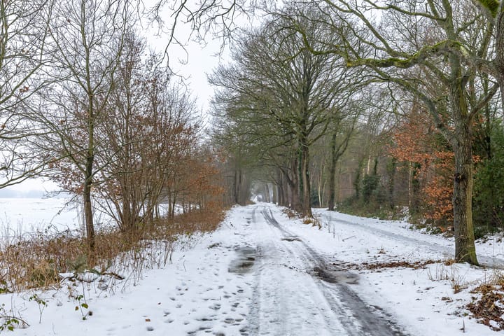 Foto 5 van Laarwoud 31