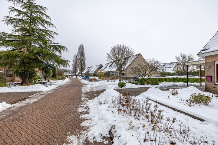 Foto 41 van Laarwoud 31