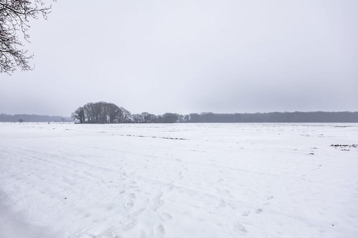 Foto 53 van Laarwoud 31