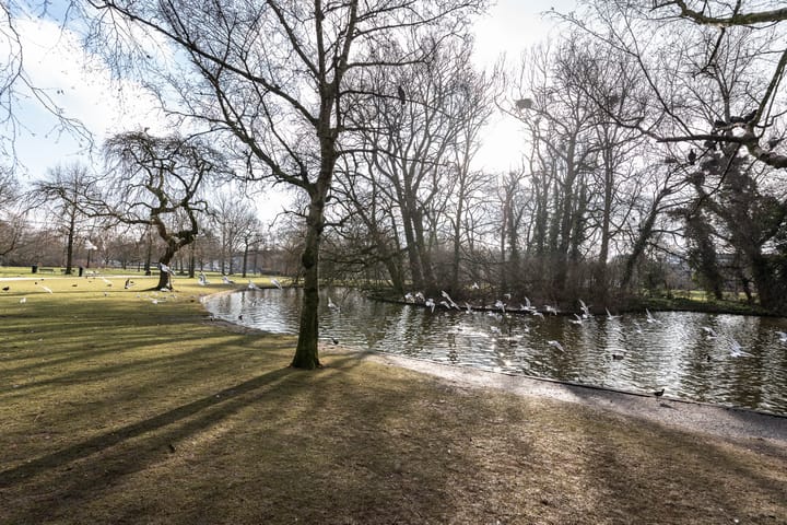 Foto 24 van Van Hogendorpstraat 125-2