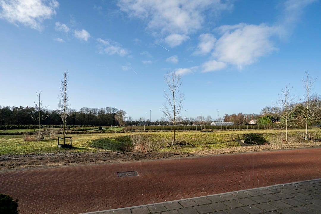 Foto 53 van Bertus Aafjesstraat 29