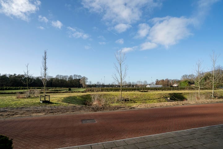 Foto 53 van Bertus Aafjesstraat 29