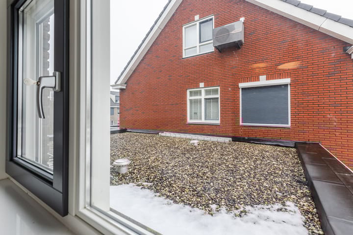 Foto 32 van Sleutelbloem 27