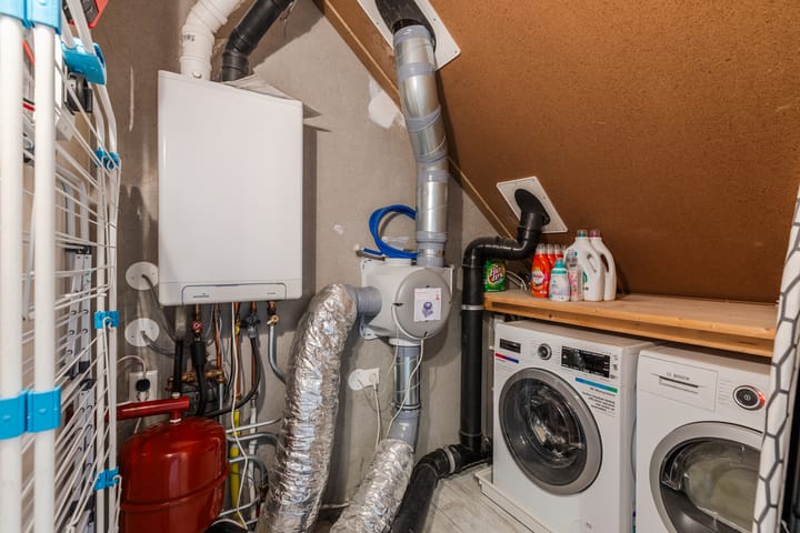 Foto 48 van Sleutelbloem 27