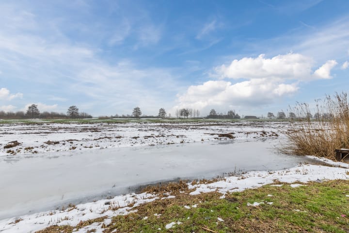 Foto 63 van Sleutelbloem 27