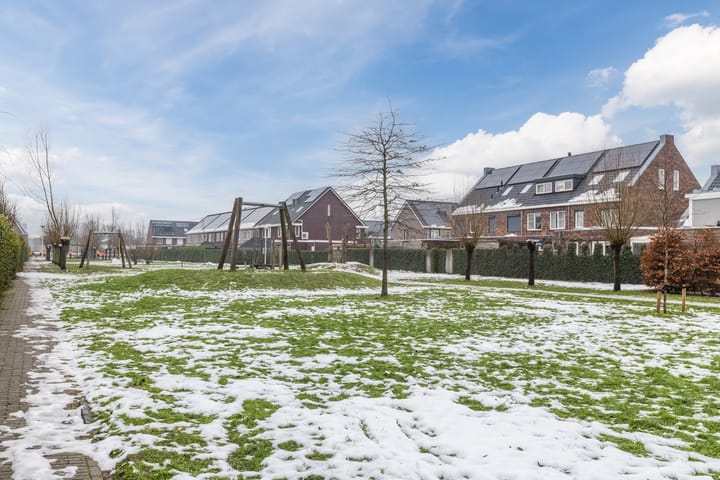 Foto 61 van Sleutelbloem 27