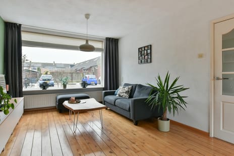 Frans Halshof 8 tertiary image