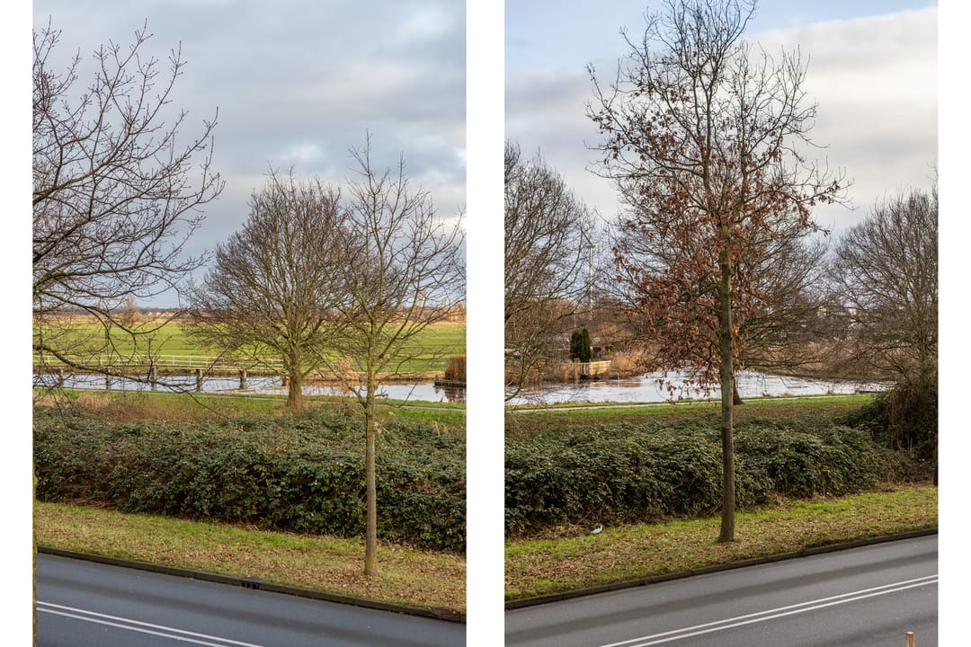 Photo 31 of Vondelweg 52