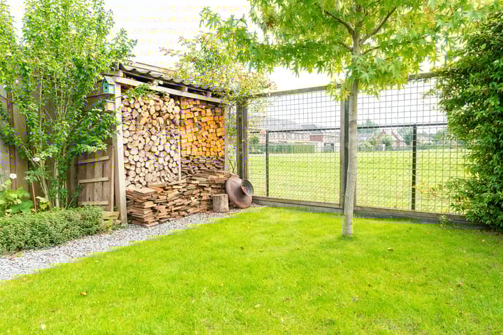 Foto 36 van Janbaas 11