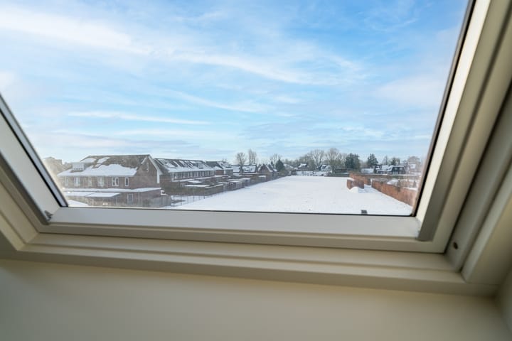 Foto 28 van Janbaas 11