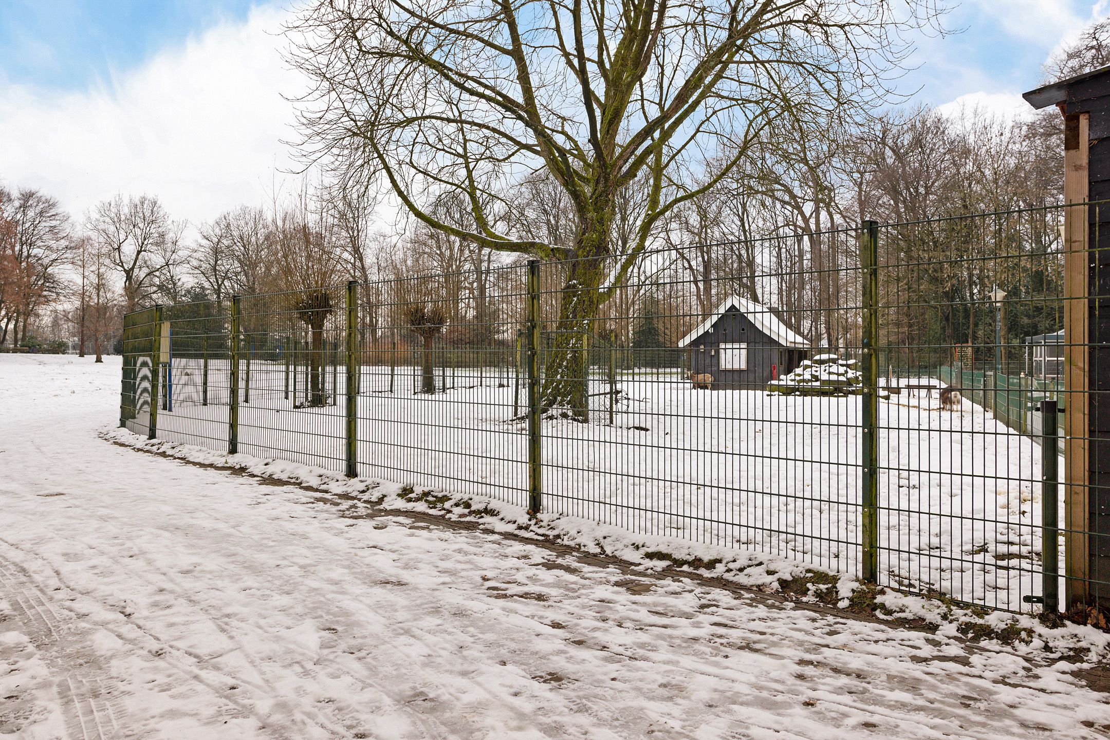 Photo 33 of Wooldrikshoekweg 27