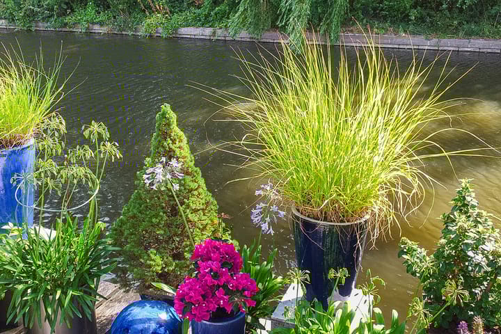 Foto 42 van Essenlaan 55