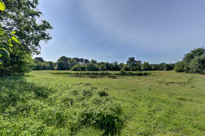 Foto 4 van Kamillelaan 2