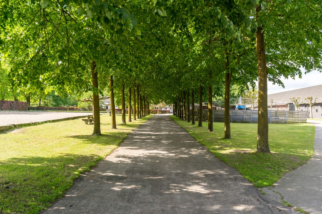 Photo 7 of Kapelstraat 12-14