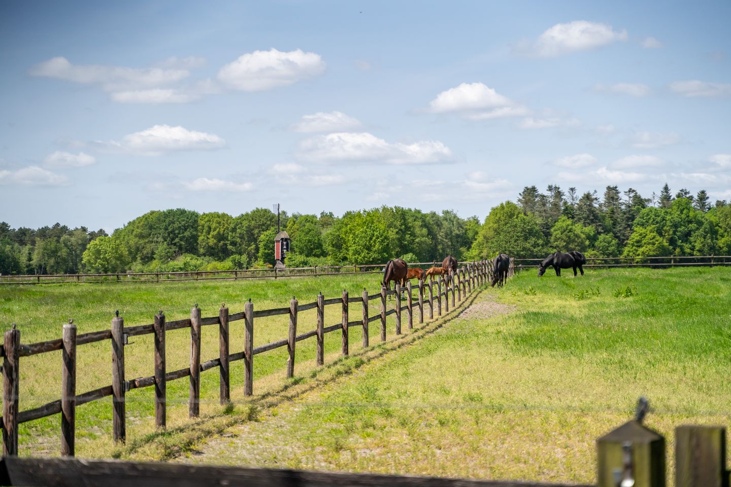 Photo 55 of Kapelstraat 12-14