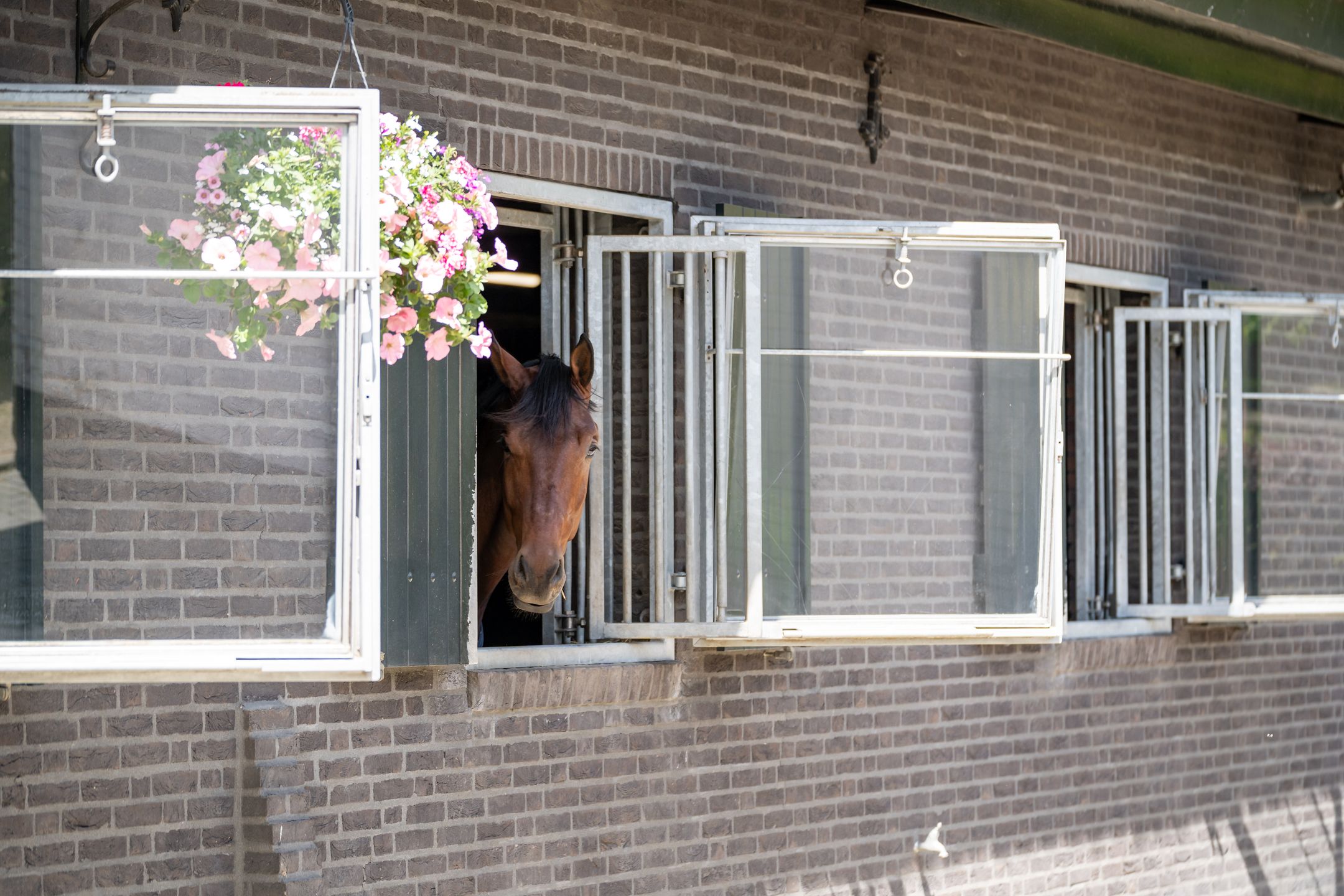 Photo 69 of Kapelstraat 12-14