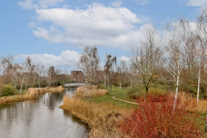 Foto 31 van Legatostraat 11