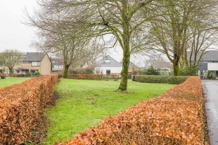 Foto 36 van Frans Halsstraat 42