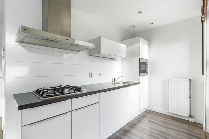 Foto 3 van Piuslaan 105