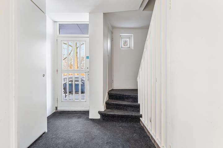 Foto 5 van Piuslaan 105