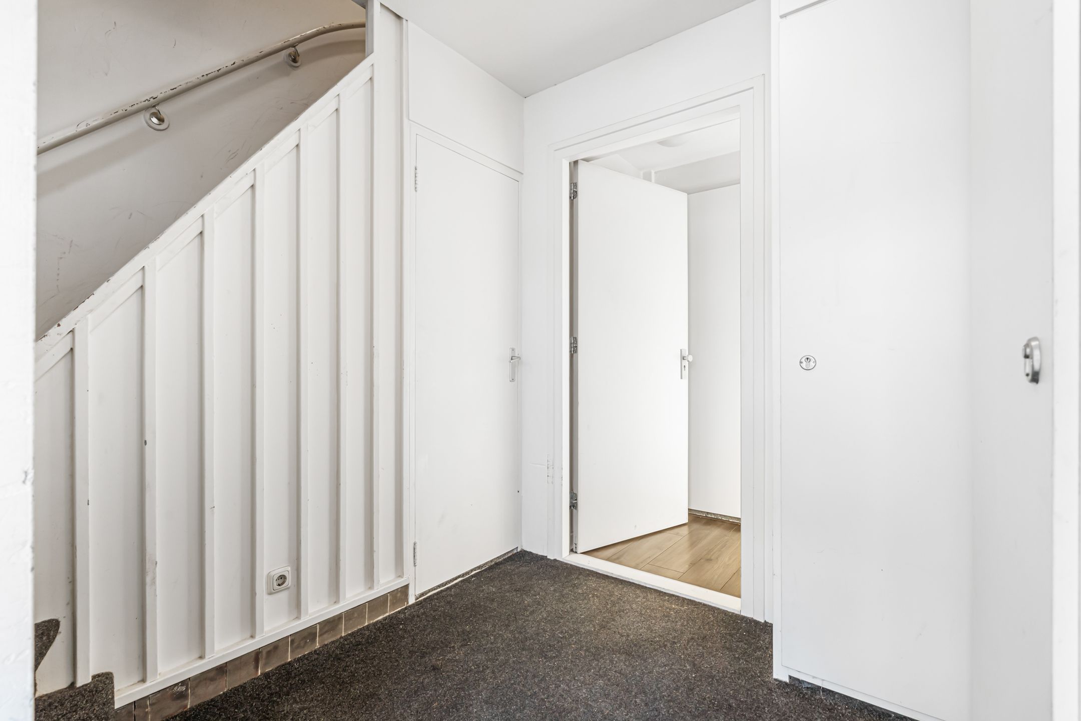 Foto 6 van Piuslaan 105