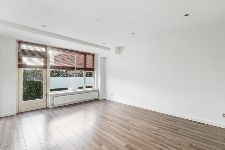 Foto 7 van Piuslaan 105