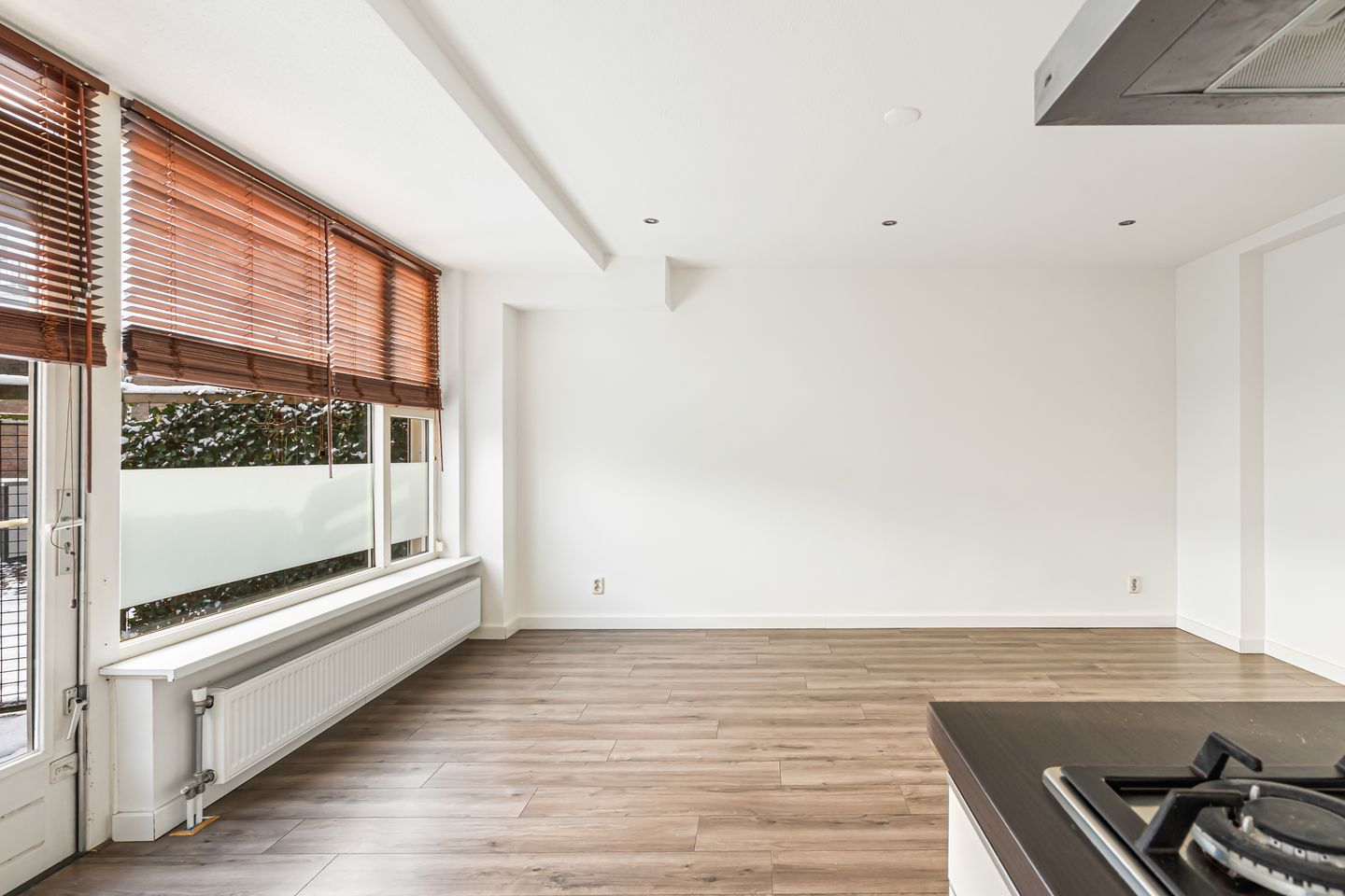 Foto 14 van Piuslaan 105