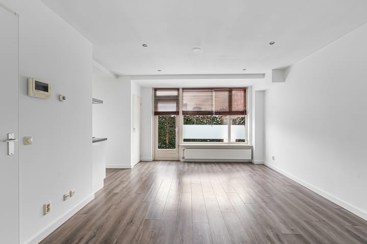 Foto 18 van Piuslaan 105