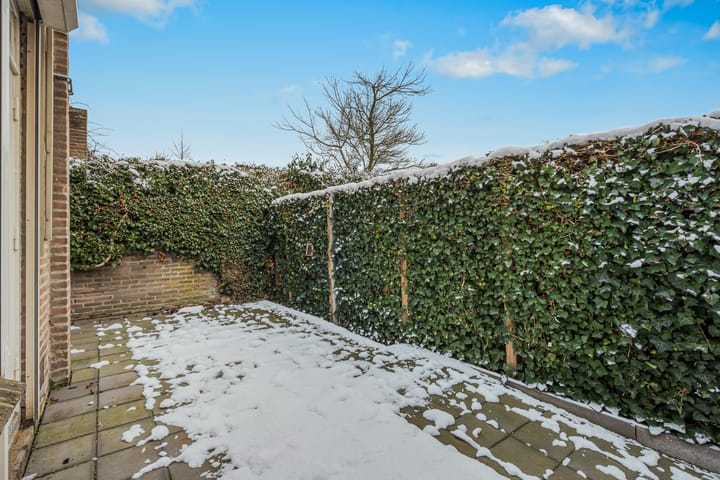 Foto 20 van Piuslaan 105