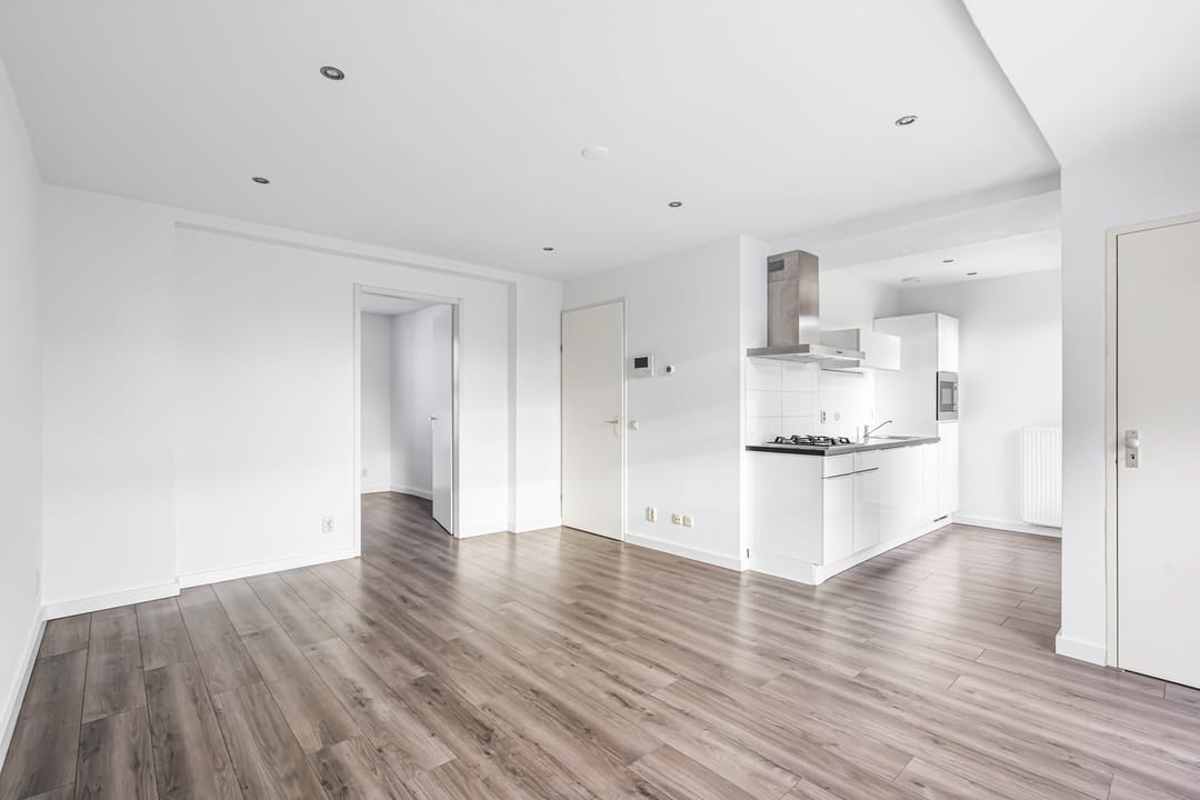 Foto 2 van Piuslaan 105