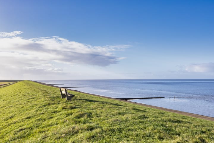 Foto 4 van It Leech 12