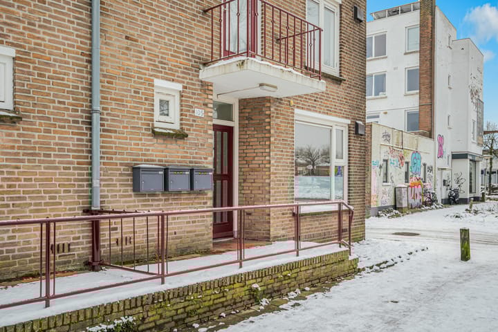 Foto 35 van Piuslaan 105