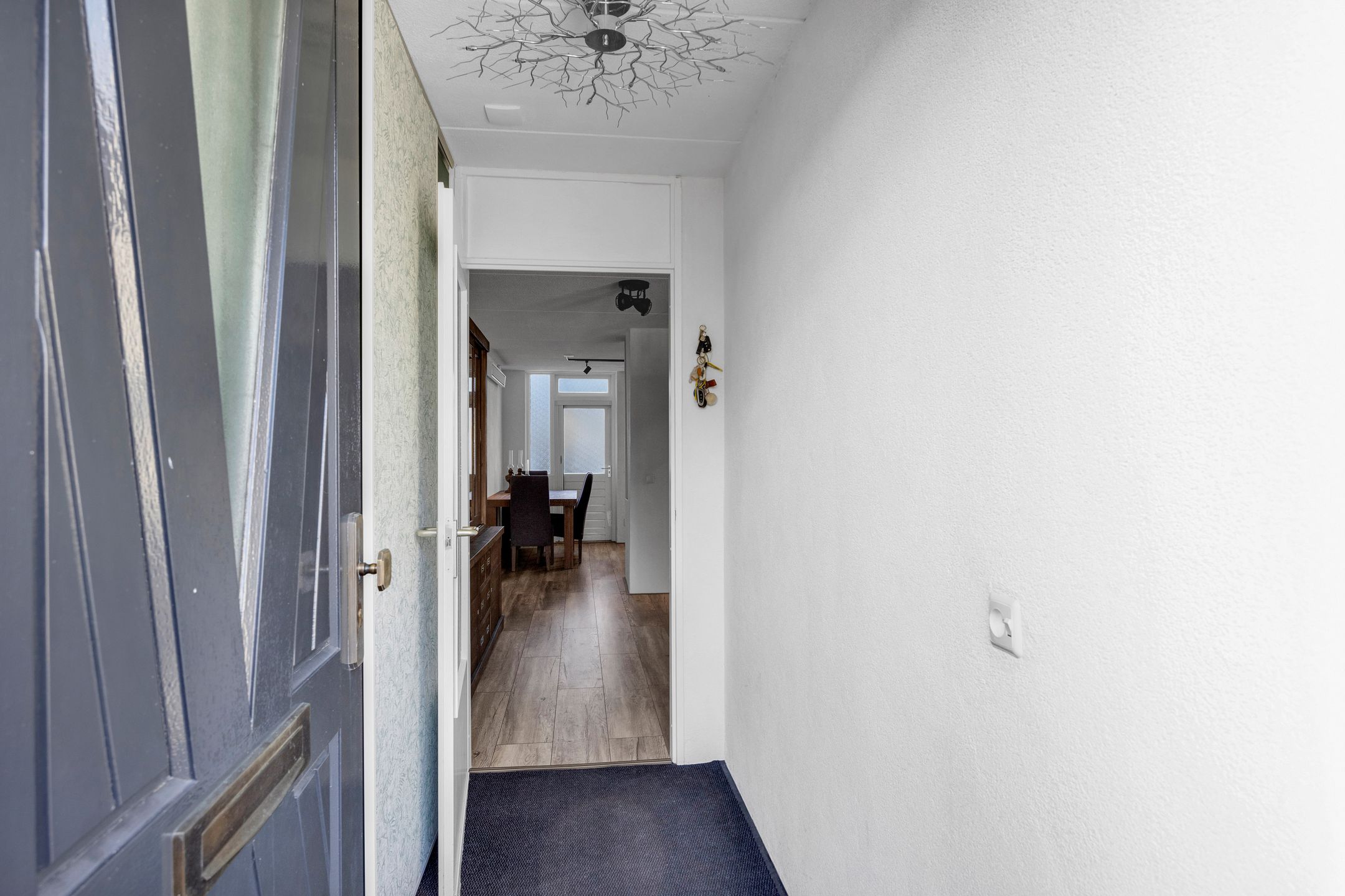 Photo 6 of It Leech 12