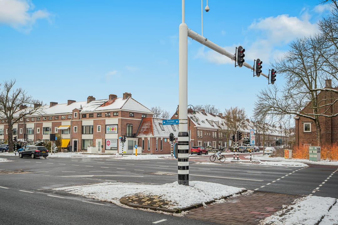 Foto 38 van Piuslaan 105