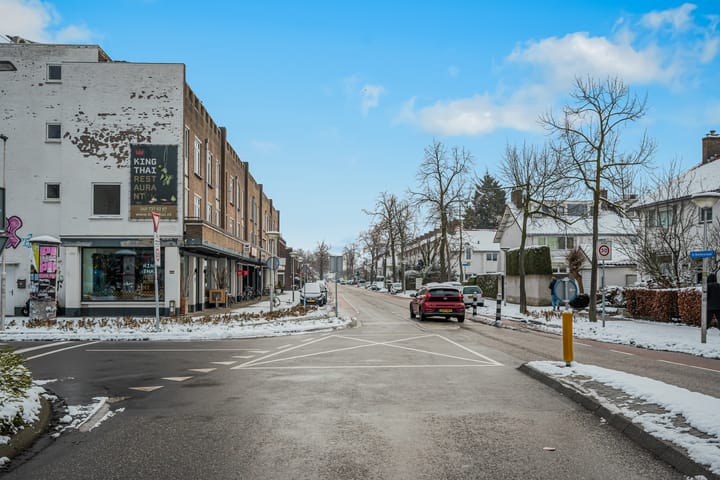 Foto 39 van Piuslaan 105